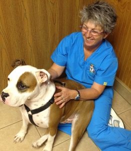 Our Veterinarians | Animal Care Center of Fort Scott, KS